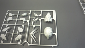 f91 (8).JPG